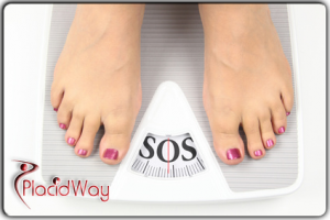 Being overweight vs Being obese PlacidWay PlacidBlog