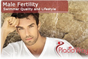 male fertility sperm quality