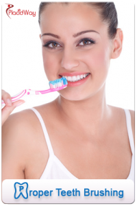 proper teeth brushing PlacidWay PlacidBlog