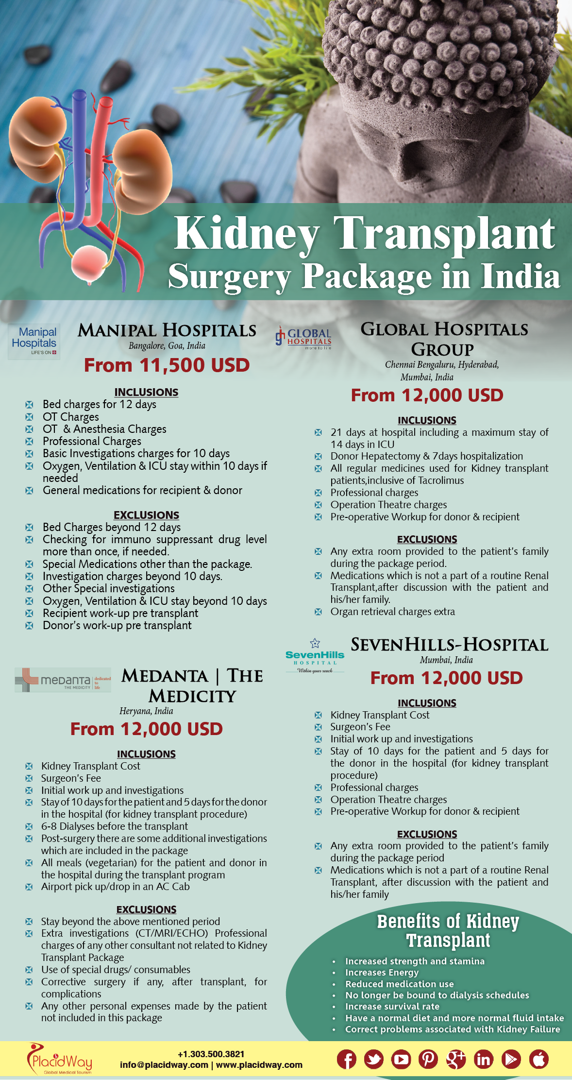 Infographics Kidney Transplant Surgery Package in India