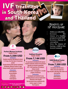 Infographics: IVF Treatment in South Korea and Thailand