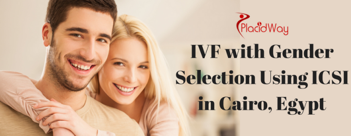 Effective Package for IVF with Gender Selection Using ICSI in Cairo, Egypt