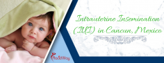 Most Affordable Intrauterine Insemination Package in Cancun, Mexico