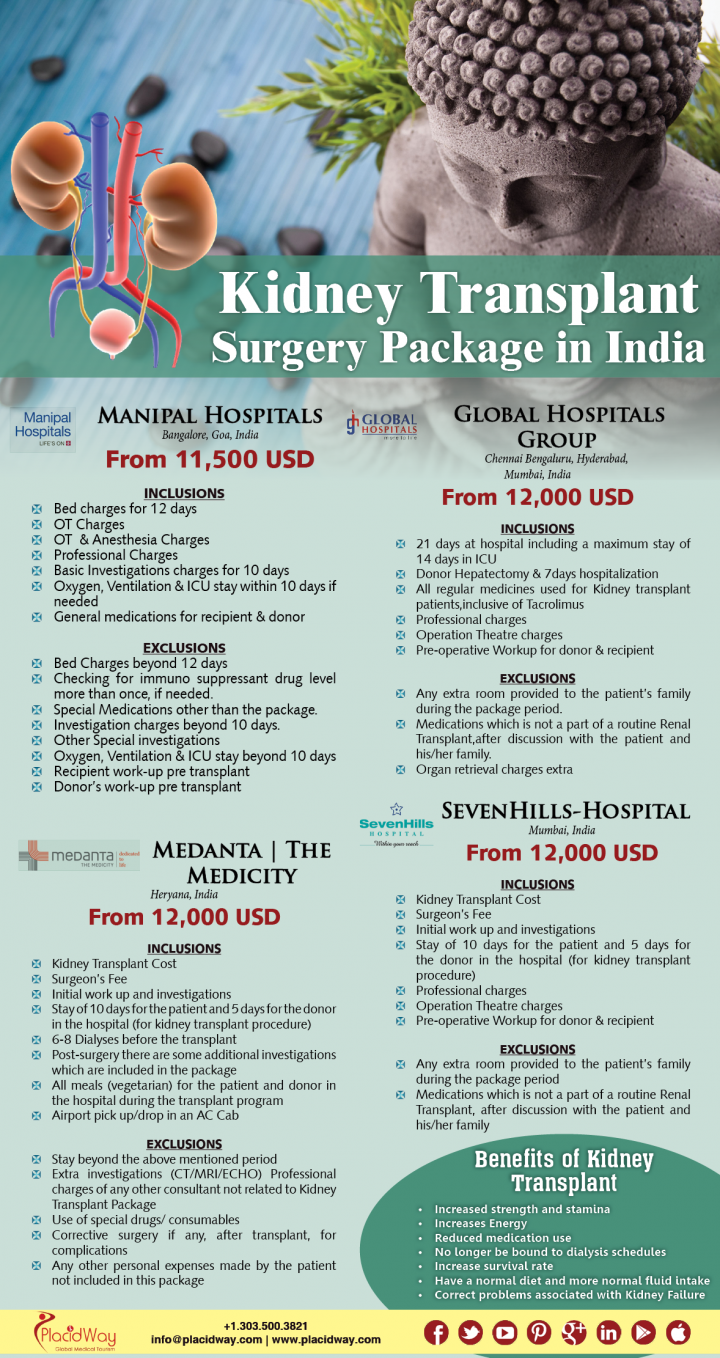 Infographics: Kidney Transplant Surgery Package in India