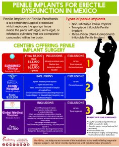 Infographics: Penile Implants for Erectile Dysfunction in Mexico