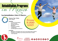 Infographics: Rehabilitation Programs in Mexico