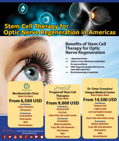 Infographics: Stem Cell Therapy for Optic Nerve Regeneration in Americas