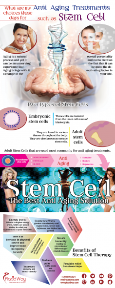 Infographics: What are my choices these days for Anti Aging Treatments such as Stem Cell