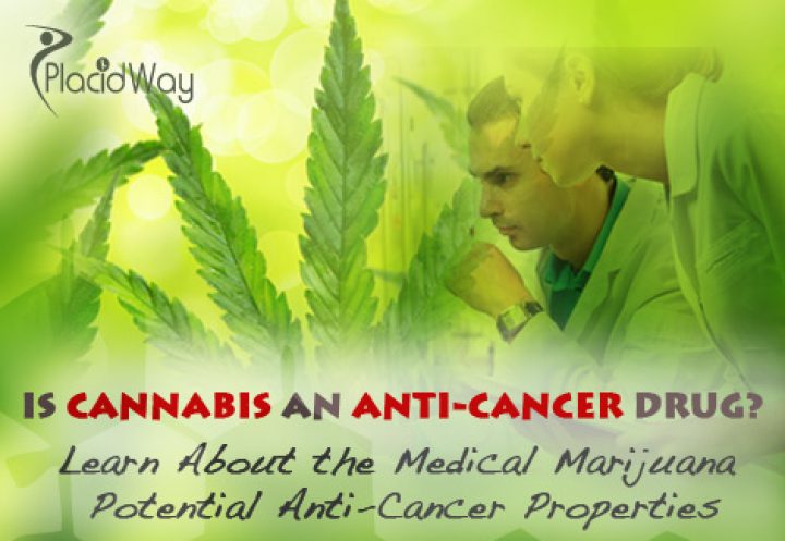 Is Cannabis an Anti-Cancer Drug? Learn About the Medical Marijuana Potential Anti-Cancer Properties