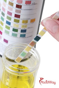 Do You Know What The Color of Your Urine Means?